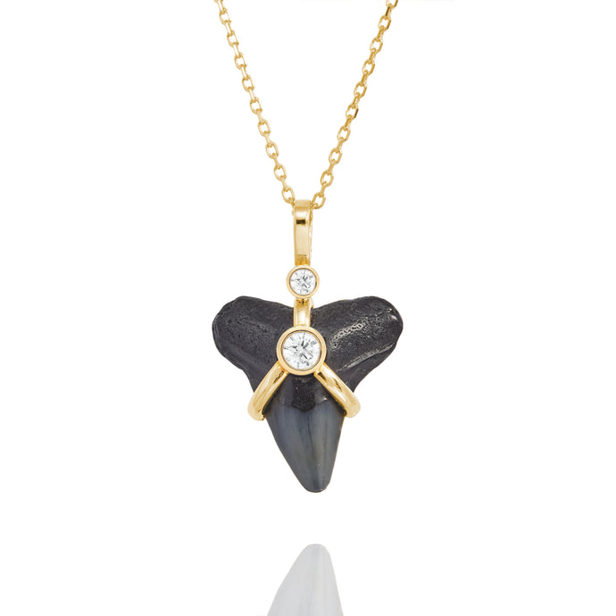 Oscuro Shark Tooth Necklace