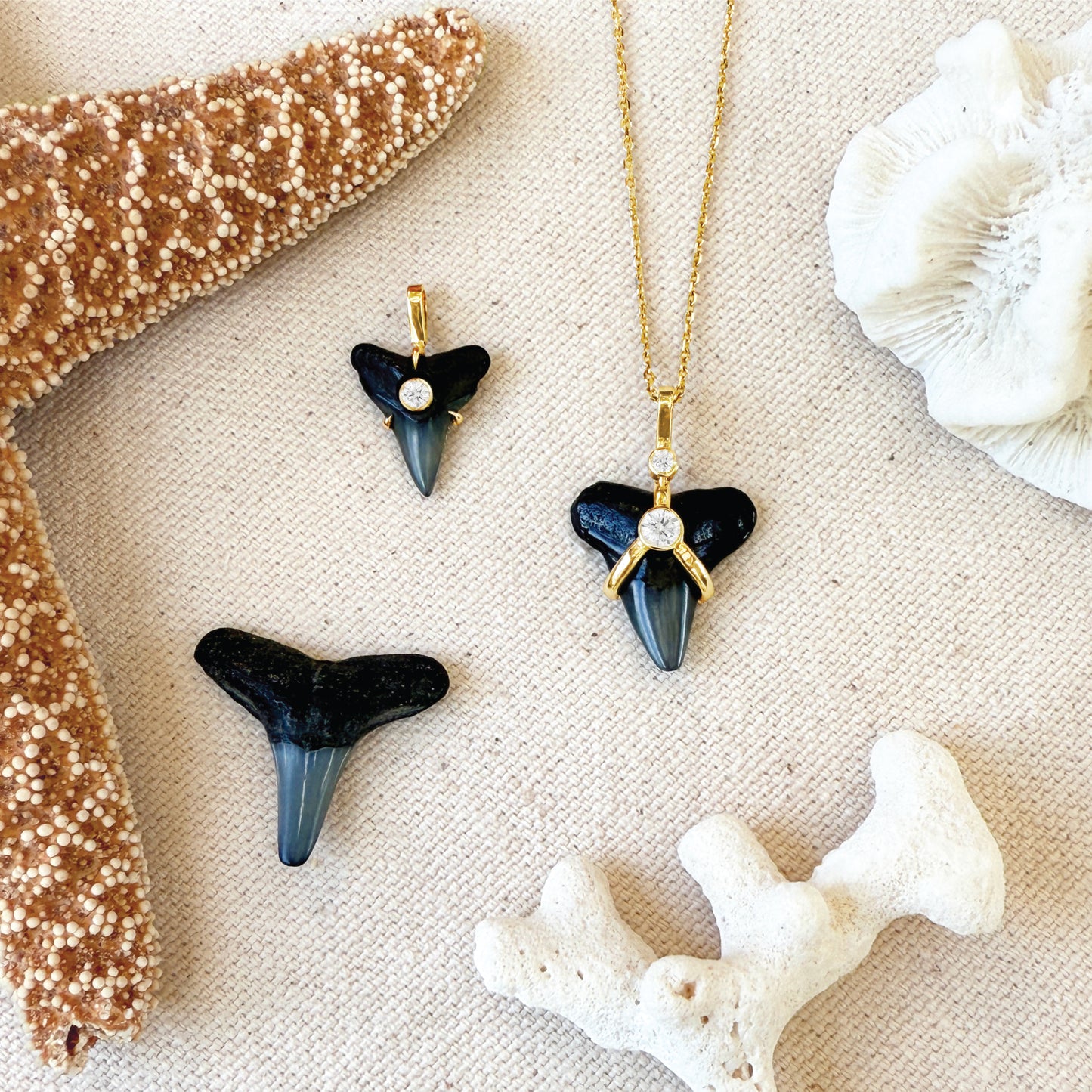 Oscuro Shark Tooth Necklace