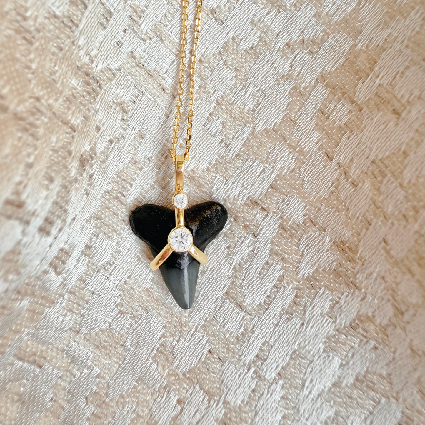 Oscuro Shark Tooth Necklace