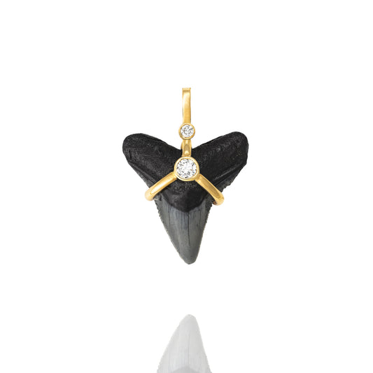 Oscuro Shark Tooth Pendant